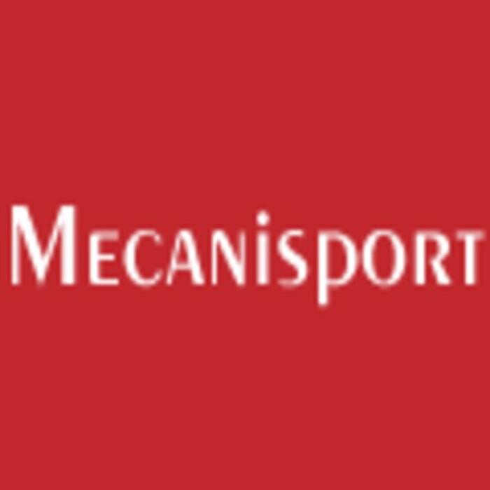 Mecanisport S.L. Electricidad y Mecánica del Automóvil Logo