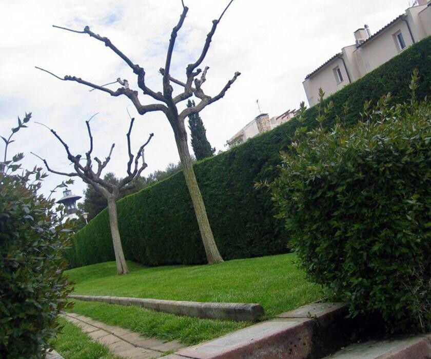 Images Jardins Piscines Jordi