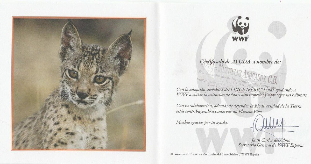 Images Mustieles Abogados