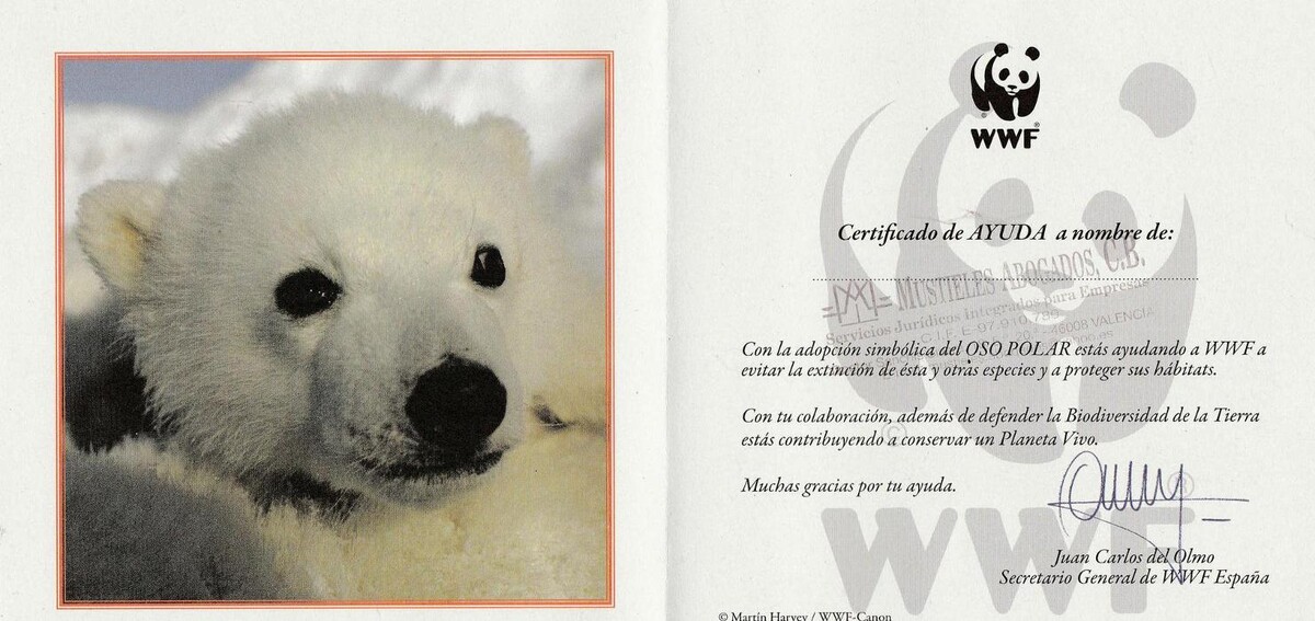 Images Mustieles Abogados