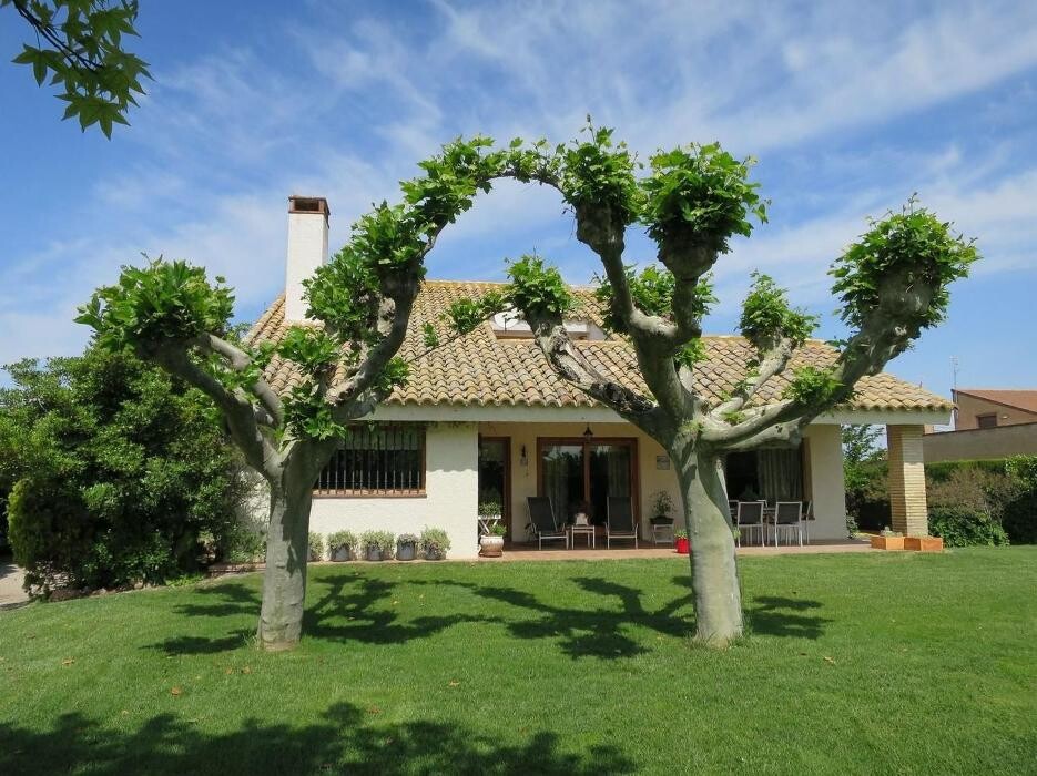 Images Fincas Goya