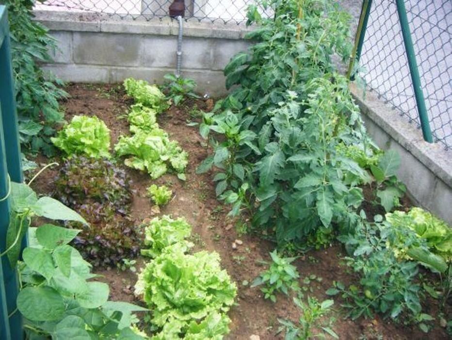 Images Guardería Infantil Mikole