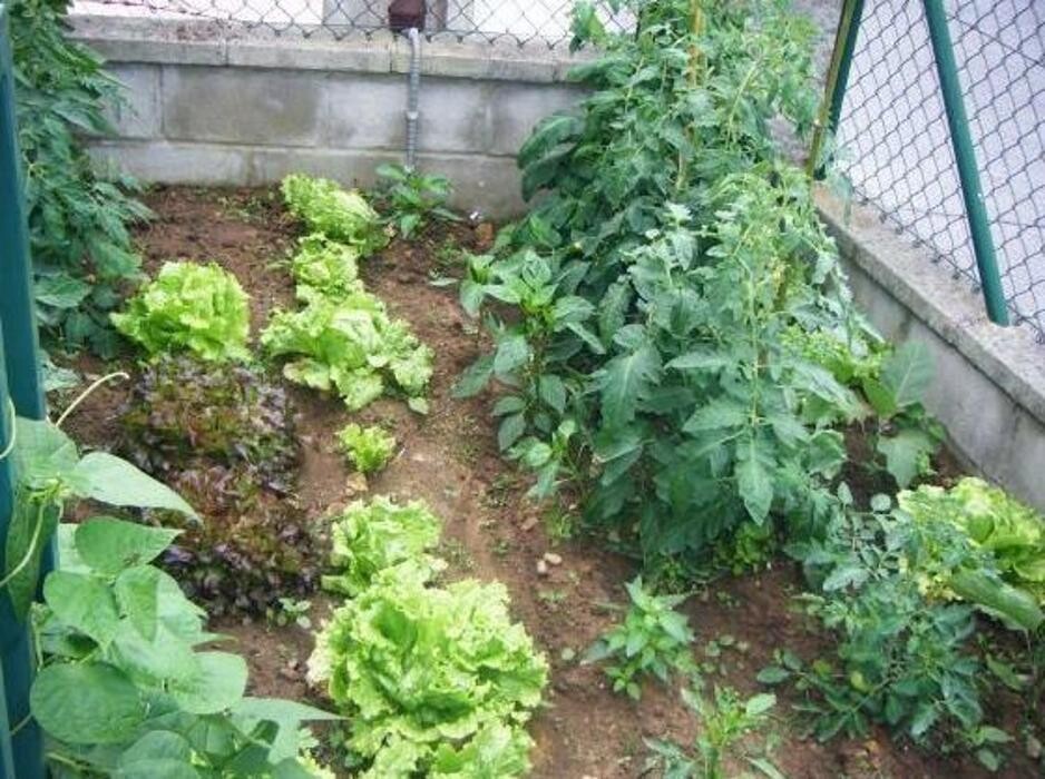 Images Guardería Infantil Mikole