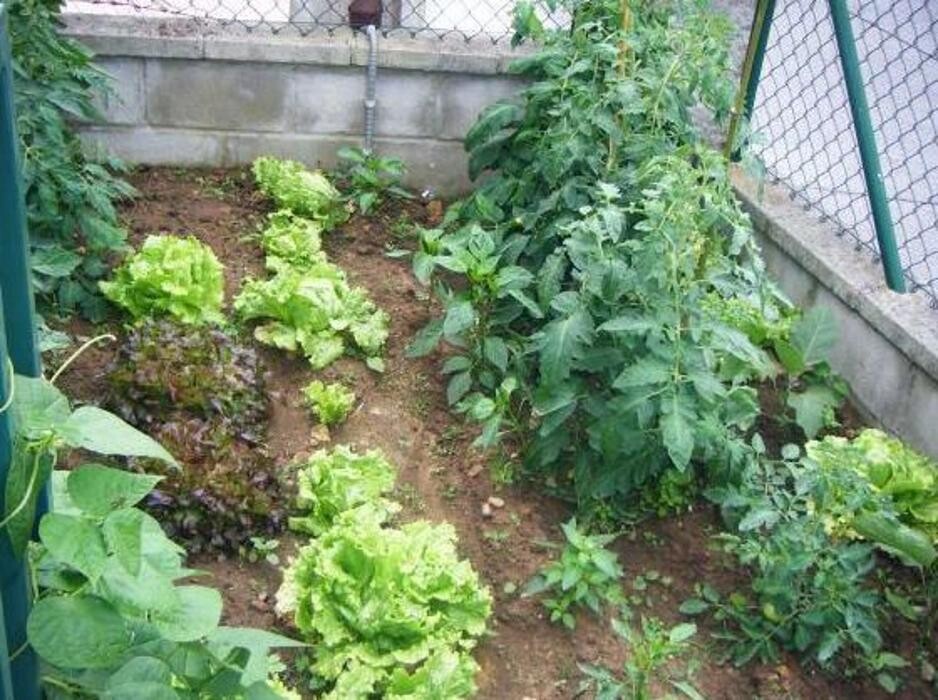 Images Guardería Infantil Mikole