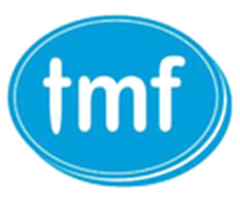 Transportes y mudanzas Ferrolterra Logo