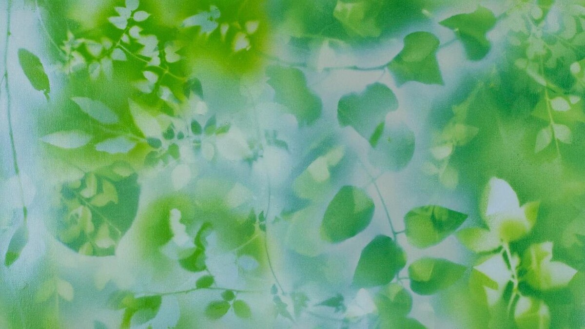 Images Lira Naturaleza