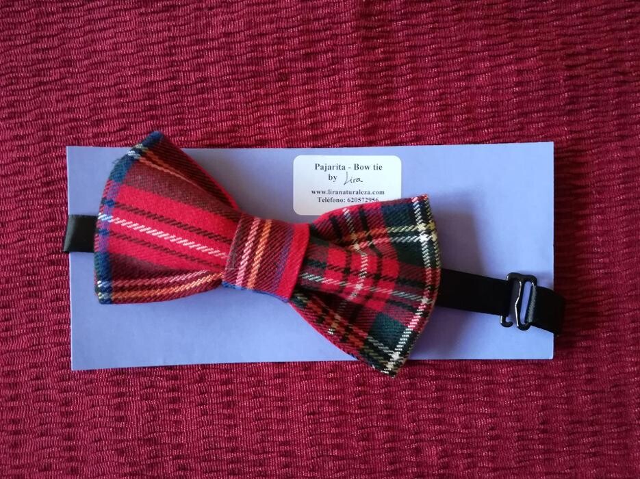 Images Lira Naturaleza