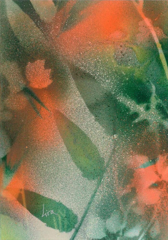 Images Lira Naturaleza