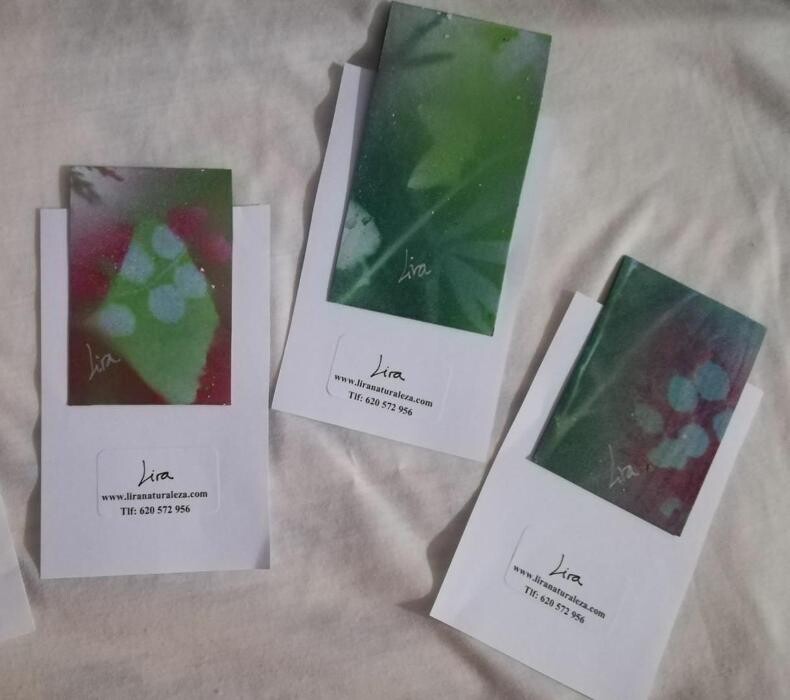 Images Lira Naturaleza