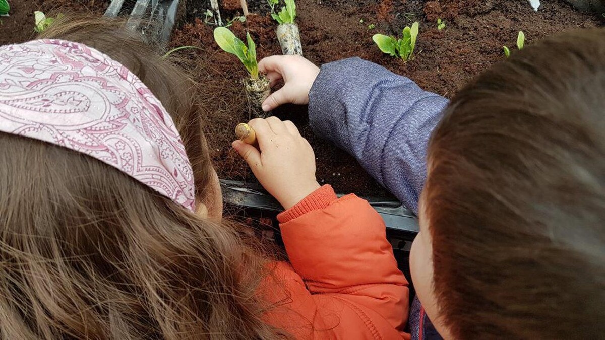 Images Llar D' Infants Goi Goi