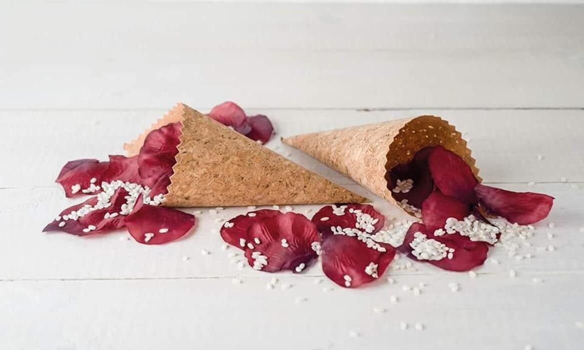 Images Eventos Mascolor