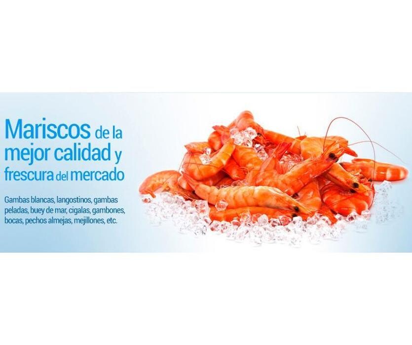 Images Congelados Disel