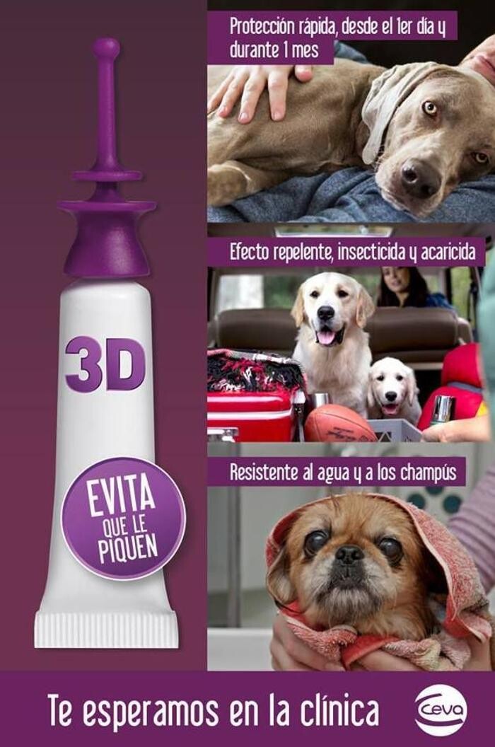 Images Clínica Veterinaria EL PUIG