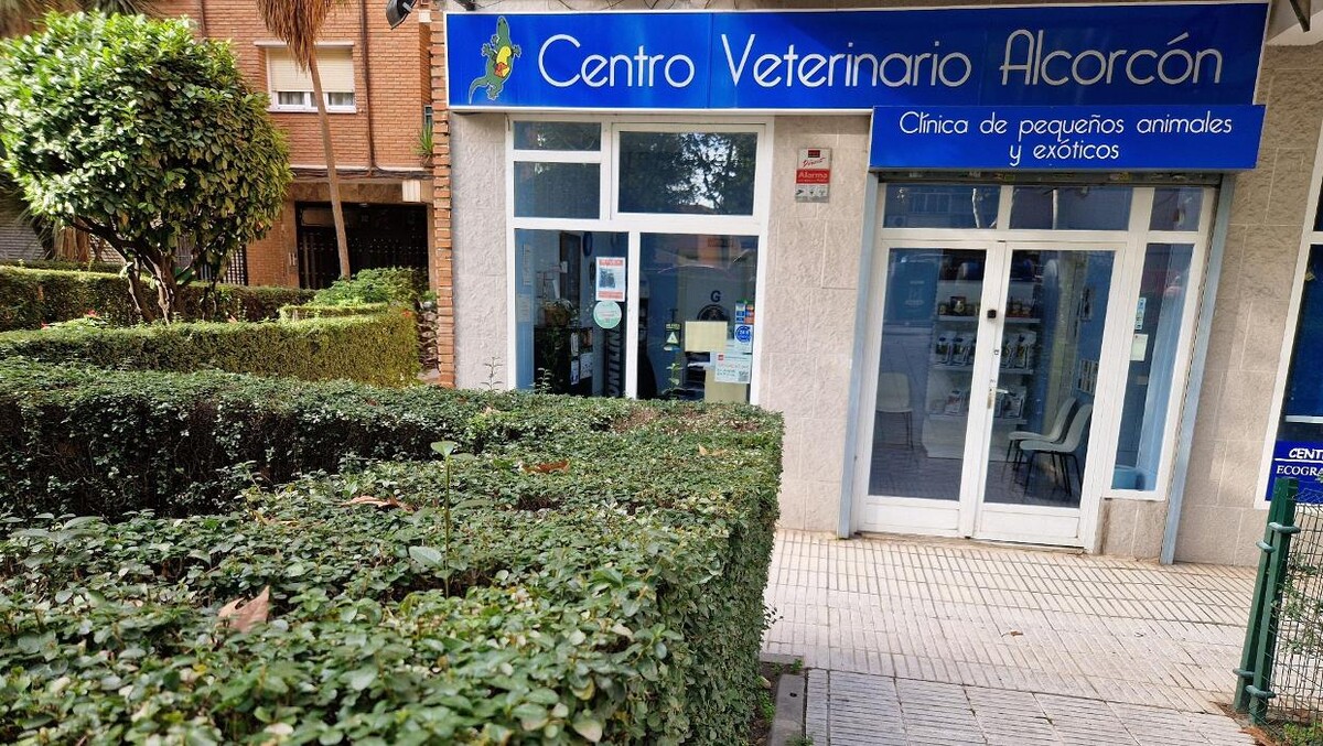 Images Veterinario Alcorcón