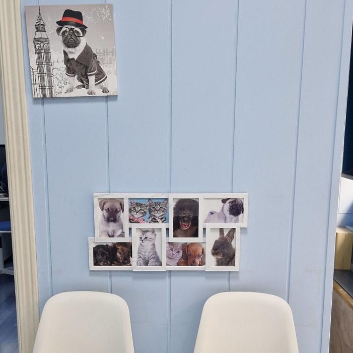 Images Veterinario Alcorcón