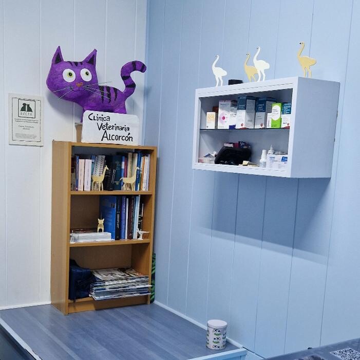 Images Veterinario Alcorcón