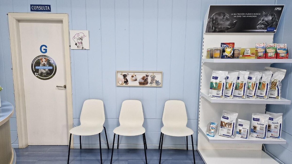 Images Veterinario Alcorcón