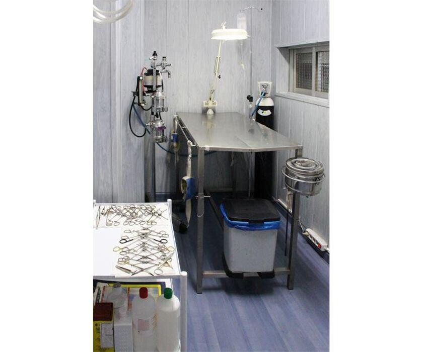 Images Veterinario Alcorcón