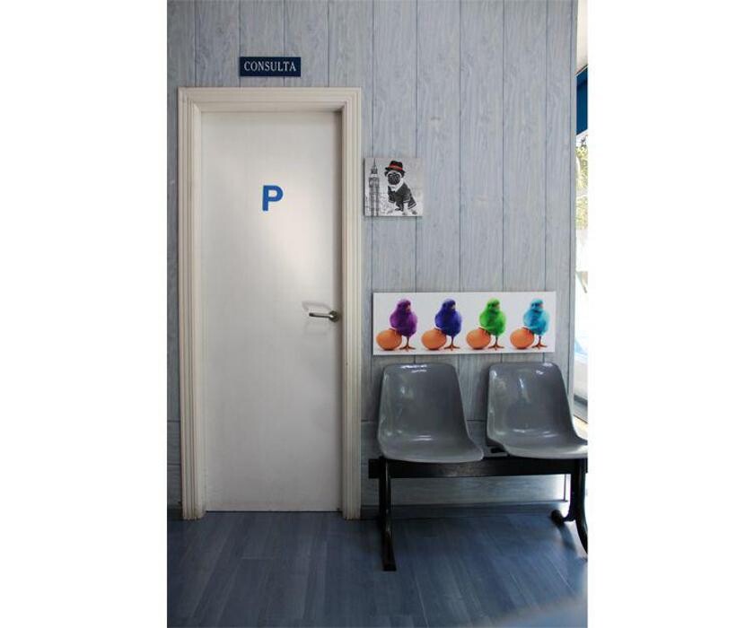 Images Veterinario Alcorcón