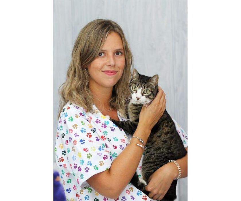 Images Veterinario Alcorcón