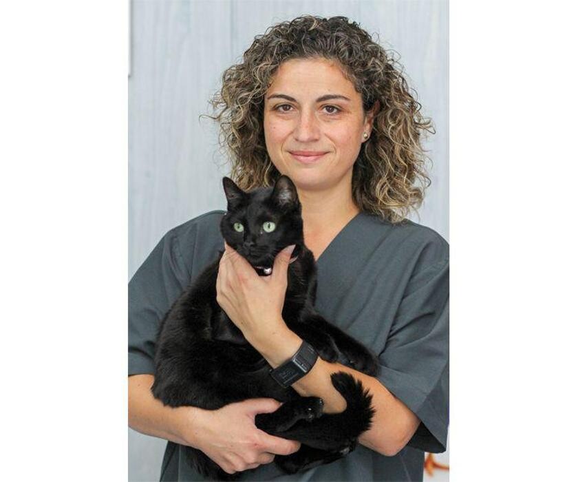 Images Veterinario Alcorcón