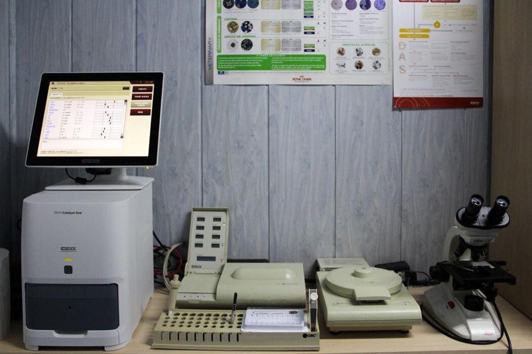 Images Veterinario Alcorcón