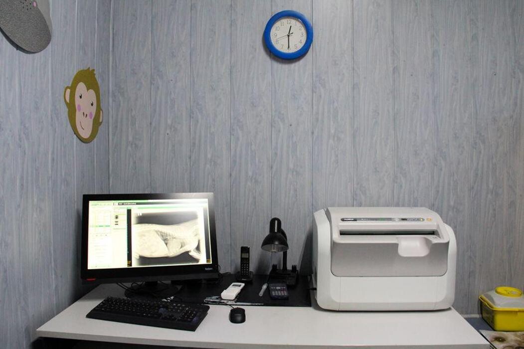 Images Veterinario Alcorcón