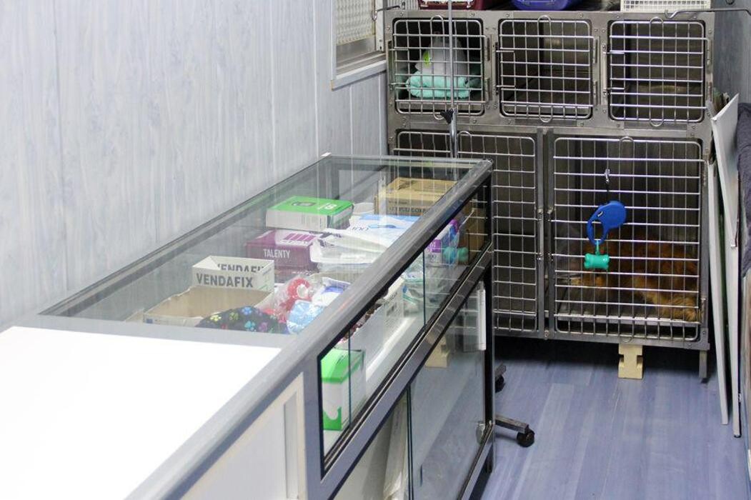 Images Veterinario Alcorcón
