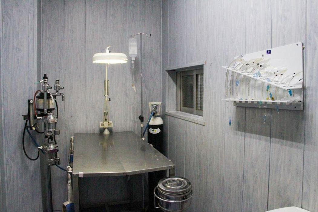 Images Veterinario Alcorcón