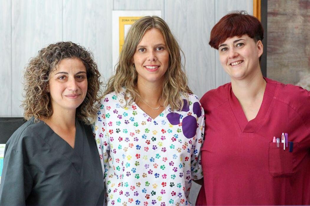 Images Veterinario Alcorcón
