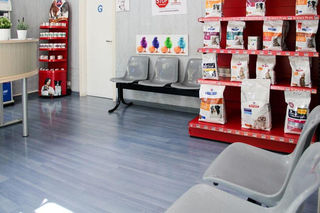 Images Veterinario Alcorcón