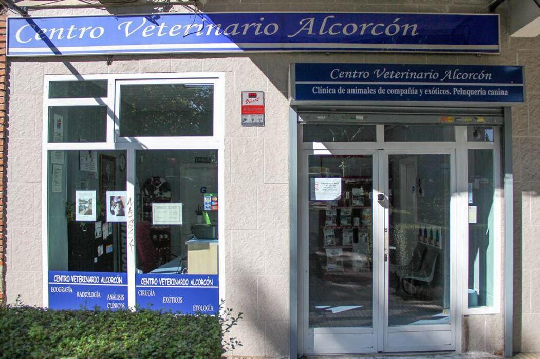 Images Veterinario Alcorcón