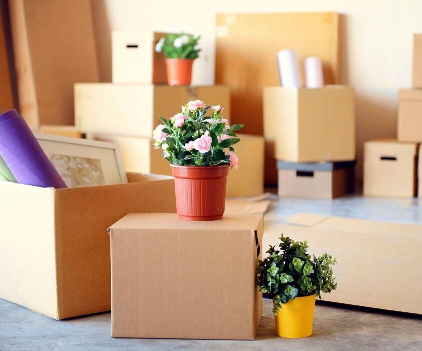 Images Remar Valencia