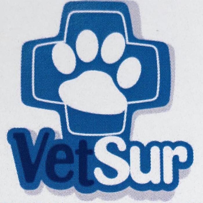 Veterinario Vet Sur Armeñime Logo