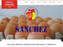 Website Screenshot Granja Avícola Tinajo