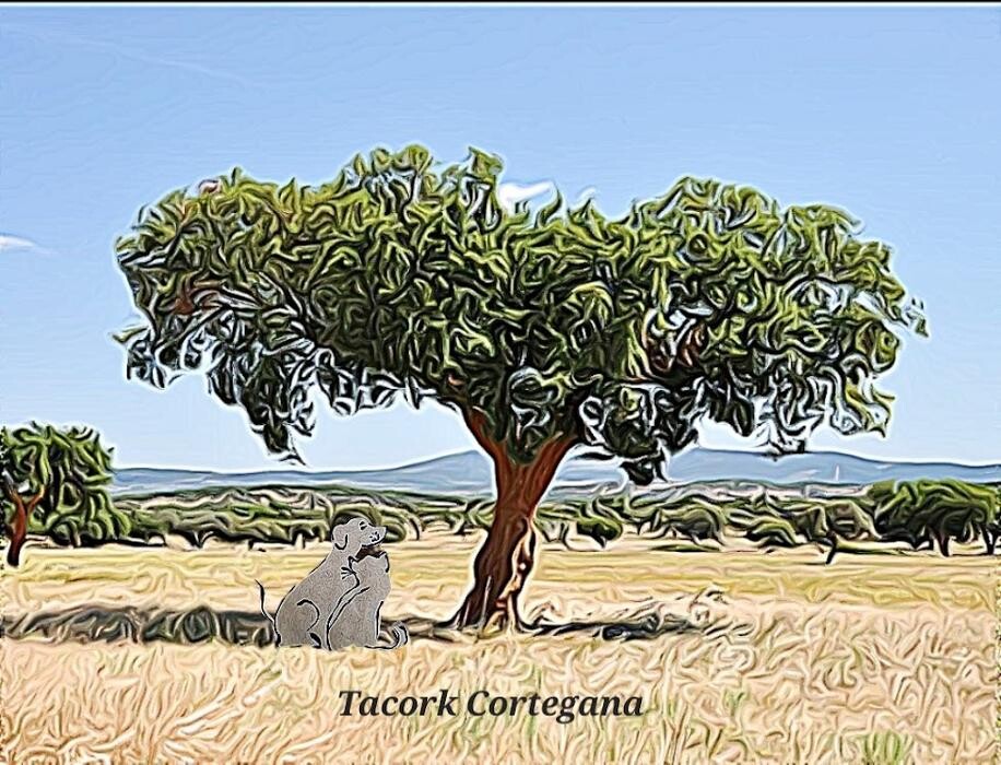 Images Tacork Cortegana