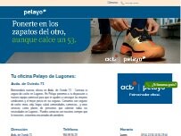 Website Screenshot Oficina Seguros Pelayo
