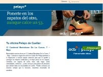 Website Screenshot Oficina Seguros Pelayo