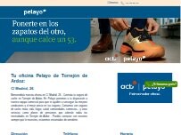 Website Screenshot Oficina Seguros Pelayo