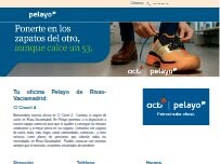 Website Screenshot Oficina Seguros Pelayo