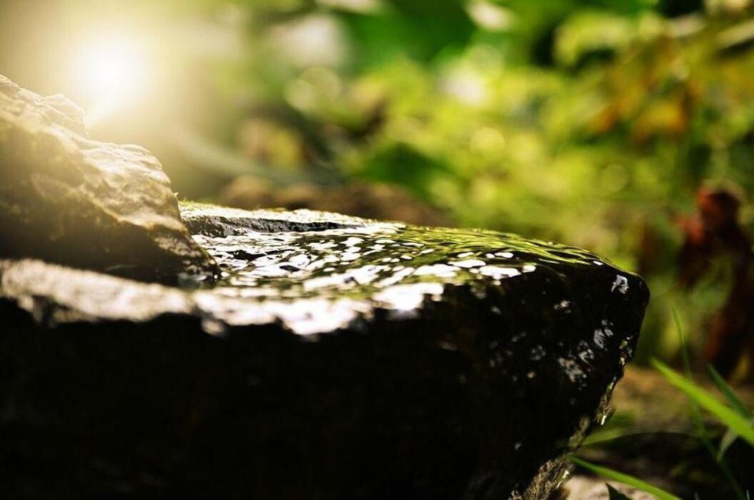 Images Terapia Gestalt Integrativa