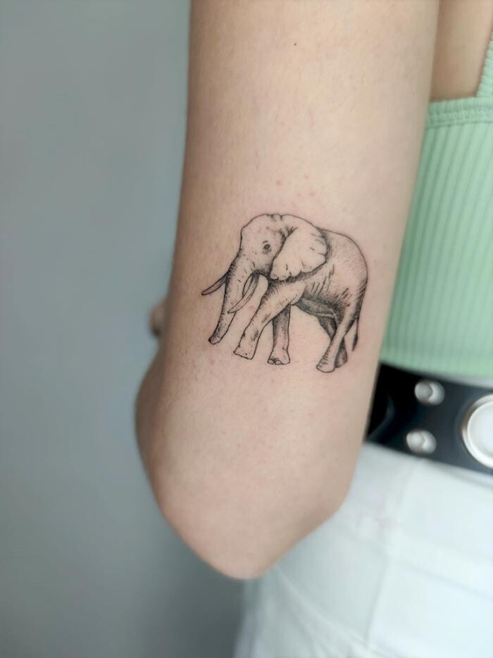 Images 222 TATTOO MADRID