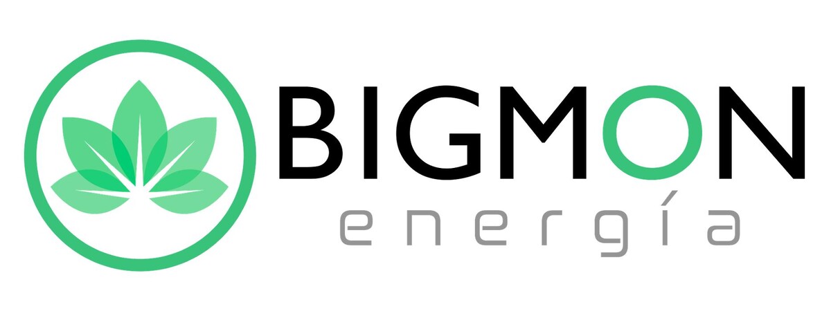 BIGMON ENERGIA - Sede Principal Logo