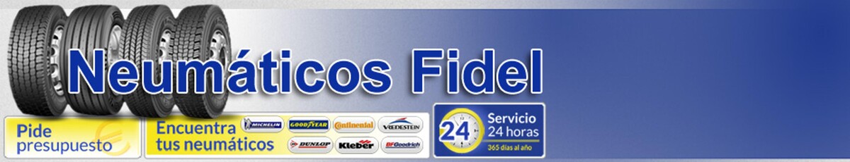 Images Euromaster Recauchutados Fidel Villares