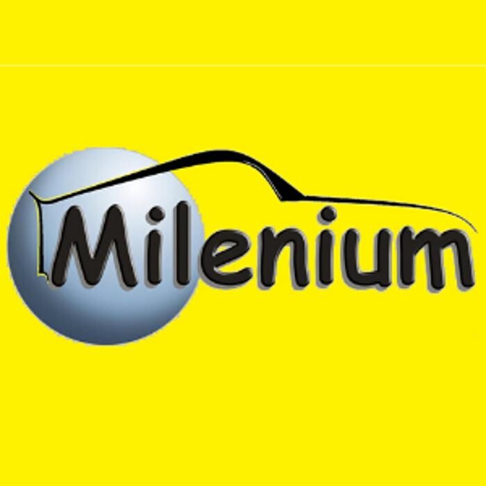 Images MILENIUM RESTORATION