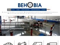 Website Screenshot Euromaster Neumáticos y Servicios Behobia