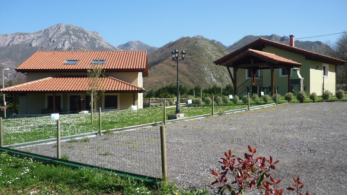 Images El Campo Mateo