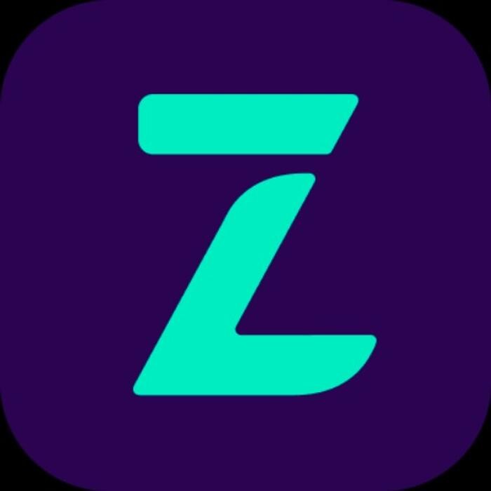 Zolmi Programa Peluqueria Logo