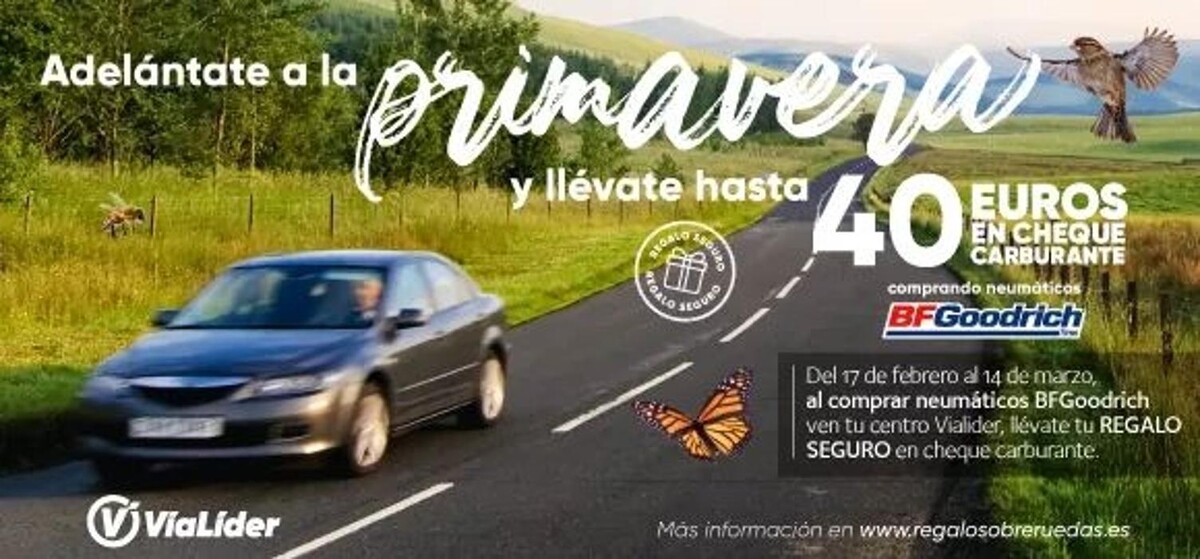 Images Euromaster Hermanos Millán
