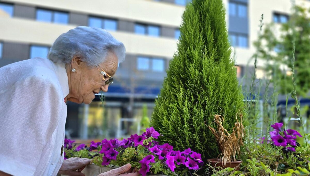 Images Residencia de Ancianos Torrejón de Ardoz, Madrid | VITALIA HOME